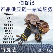 云南竹灵芝长腿小灵芝缅甸黑灵芝散装大货量大从优安神天然赤灵芝
