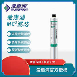 爱惠浦MC2-CN滤芯净水器通用耗材主滤芯商用/家用厨房直饮机