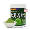 益生元酵素大麥若葉青汁粉OEM代工 小麥苗粉膳食纖維無糖綠條貼牌