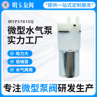 ����΢��ˮ��� MYP370ˮ�����������ϴ����늄���ˢ΢��ˮ���