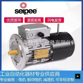 意大利SEIPEE刹车电机 SEIPEE刹车马达 意大利SEIPEE电机 ZKF80L4