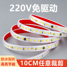 ����220v����ledܛ��10cm���l�������b���ճ����չ���NƬ���l