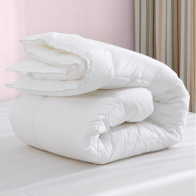 跨境亚马逊五星级酒店被子羽丝绒被芯宾馆全棉冬被加厚保暖纯白色