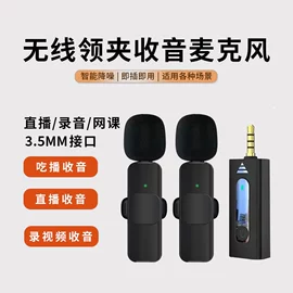 麦克风/话筒;扩音器;耳机