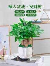 �lؔ��С���Ի���ֲ�������҃Ȕ[���ļ����B�Gֲ�͏dԭ����ؔ����