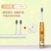Hamsia Orange Charging model [3 brush head+USB charging cable]
