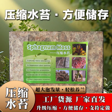 �S��ֱ�����|���sˮ̦�m��������|���������|�Ϻ����m��̦�\��̦