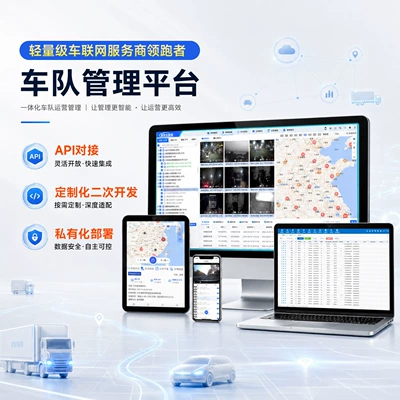 Real-Time Positioning, Remote Monitoring, Driver: Driving recorder