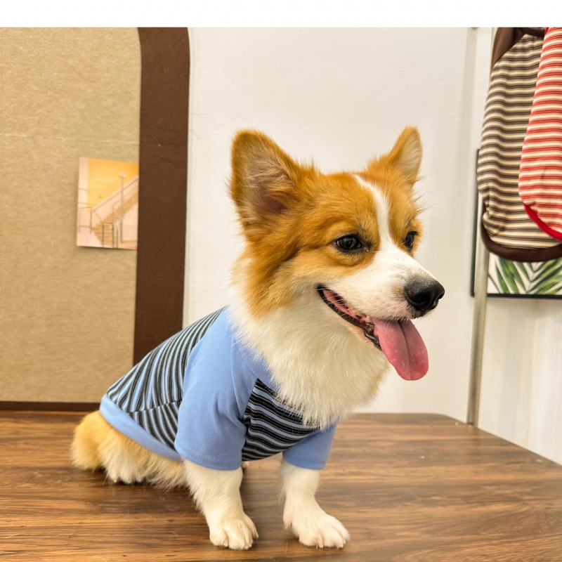 Perro de mascota primavera y otoño ropa Corgi perro calentamiento ocio tracción rayas camisetas de cuello redondo