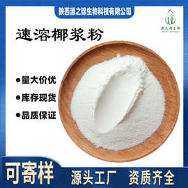 椰浆粉 可寄样 源之锦厂家 现货供应  椰子粉量大价优量大价优
