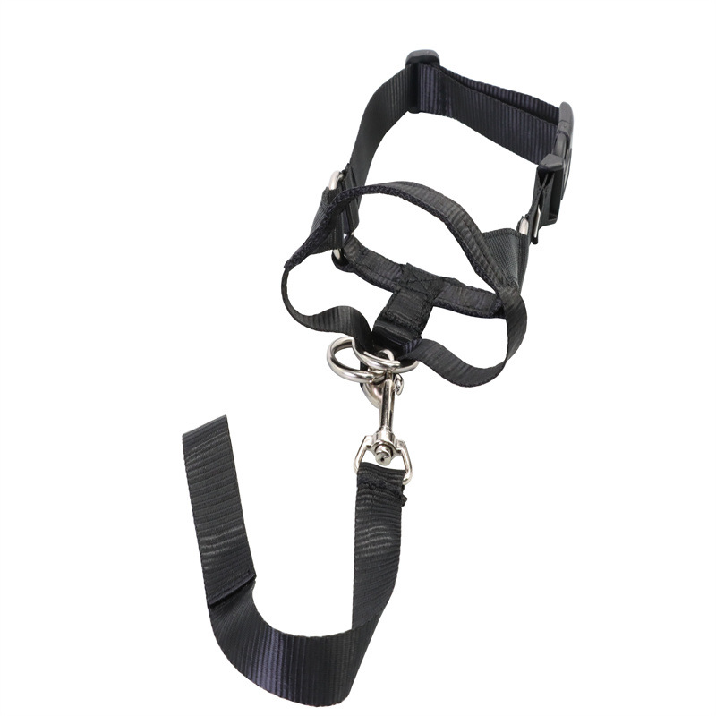 IMG_1932 - 副本.jpg?x-oss-process=image/format,png