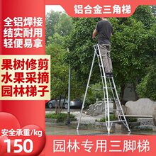 �������_�@�ֈ@ˇ�����޼��G����ľ��ժ���@�����X�Ͻ������