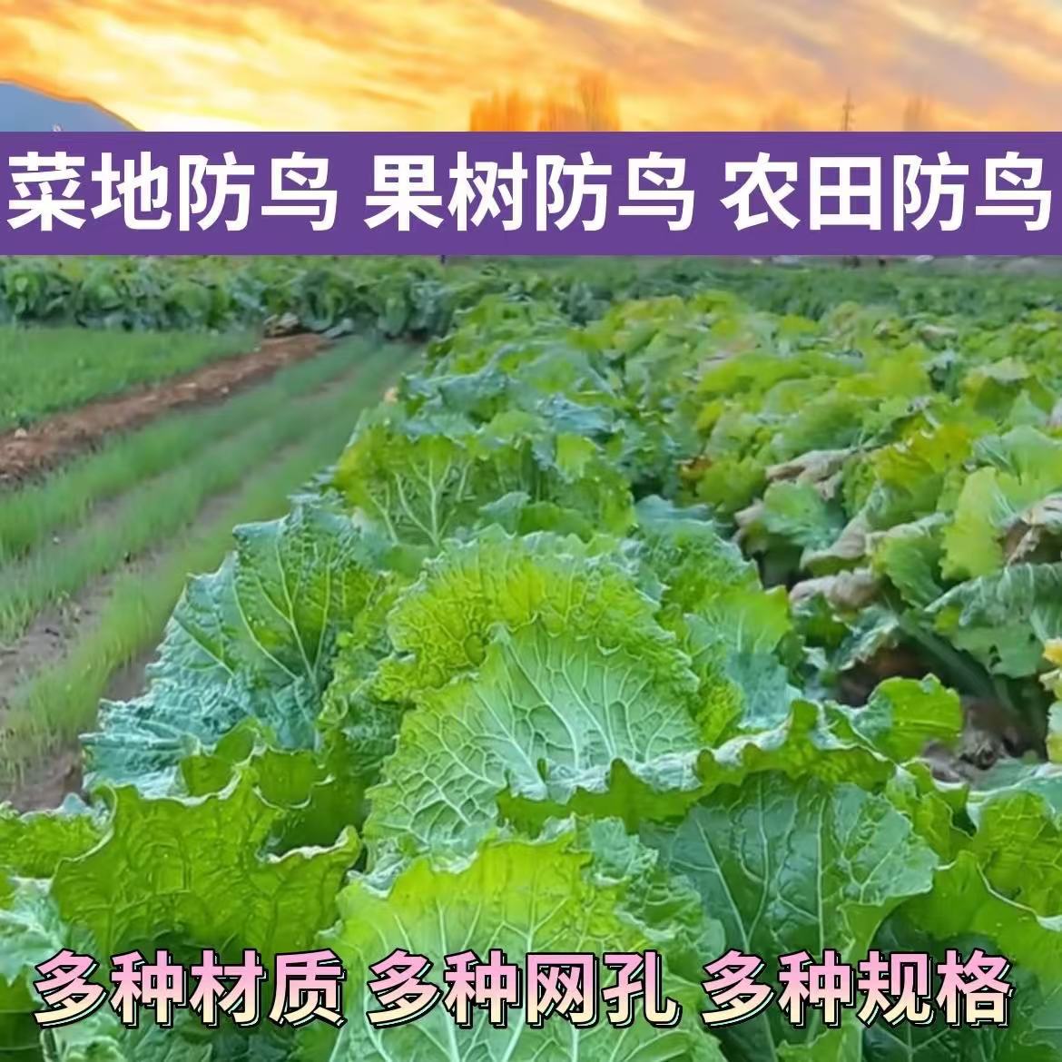 微信图片_20241206102717