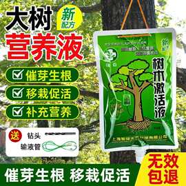 大树营养液树木吊针液果树输液袋移栽激活浓缩肥料植物生根通用型