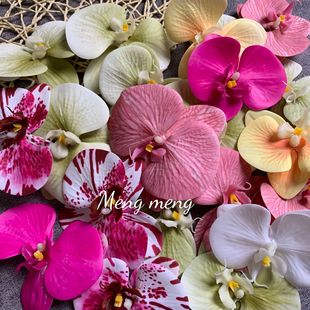 ���滨3D��ӡ�zƬ�����m���^�����^�ñ��diy���ֶYϲ�Ǻ��b�