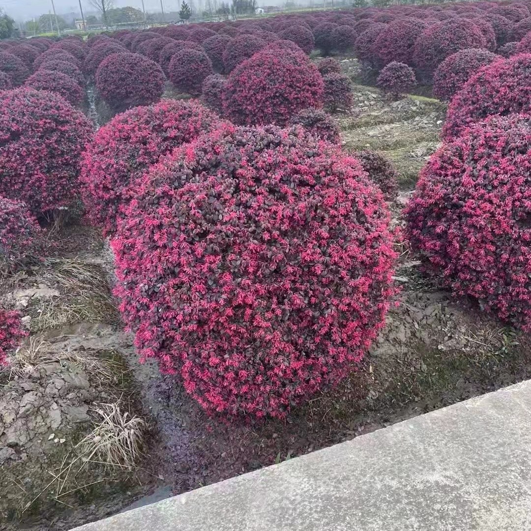 2024-03-26 17:02:56.jpg