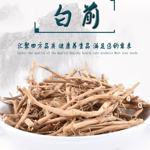 优质白前中药材批发 无无硫新货白前 规格齐全量大从优 一件代发-阿里巴巴