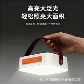 太阳能灯;路灯;道路照明灯