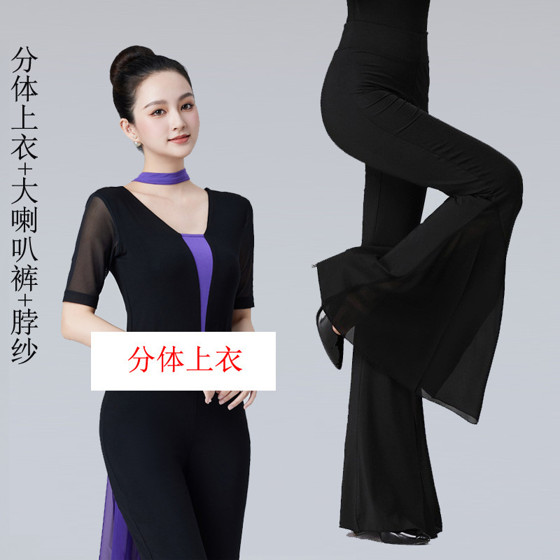 紫の濃いv色のガーゼの袖の形の服のダンスの服のショーのモデルのバレエの練習の功の育成訓練のマナーのモーダル|undefined