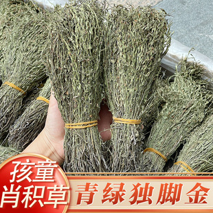 �̾G���_���V����e�ݕ�ɺ����ݜ�500�˪��_�����ș�Ķ��_����