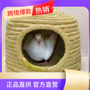 �u�C��ˮ���ӳ��C�B�C���J���u���C����С���쾰�µ��C�����