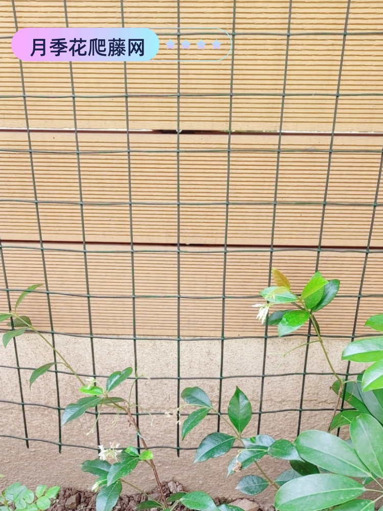 Сетка для выращивания роз своими руками, сетка для цветочной стены, сетка для выращивания роз на открытом воздухе, сетка для выращивания роз, устойчивая к ржавчине и солнцу