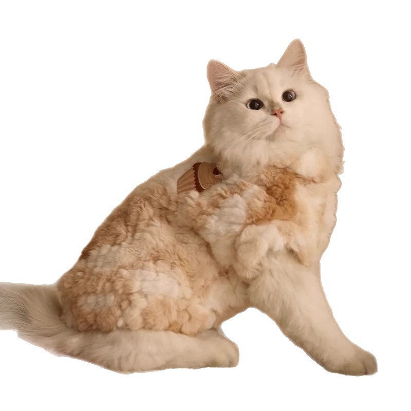 Warm Thick Winter Clothes For Kittens Anti Shedding Ragdoll Cat Clothes For Autumn And Winter_voghion.com