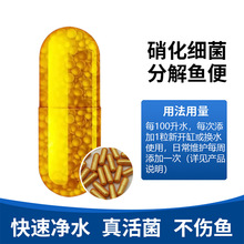 ɢ�b���������z���~�׃�ˮ��ˮ�|�������^�p�~����ˮ�|�ͺ�������