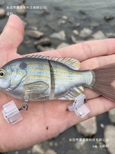 `~D~ˮ··S๝~̫·D2Ԕ