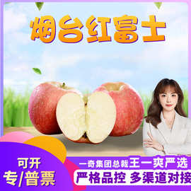 【严选】山东烟台红富士 代发3斤新鲜红应季水果礼盒非云南丑苹果
