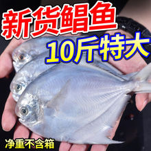 شyK~roҰK~ƽ~~r~rˮal