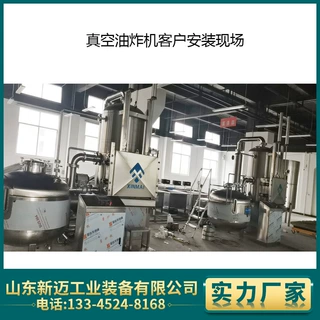 真空油炸果蔬脆片机 红薯条低温油炸脱水设备 山东新迈直供