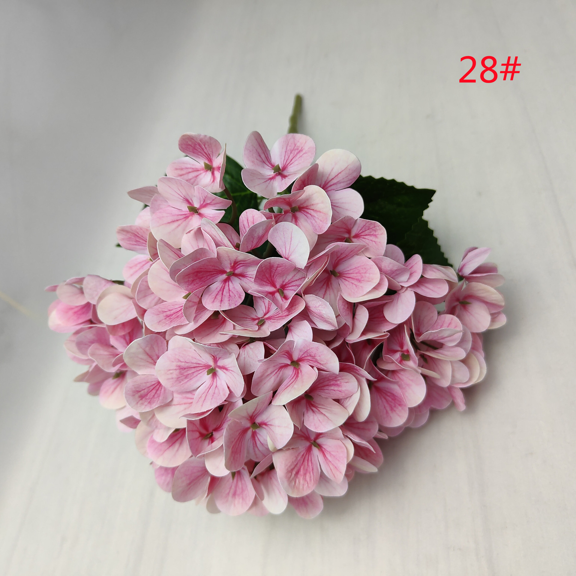 28#