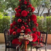 �}�Q�������ÿ��Ȳ͏d�T���}�Q��z�q����߷Շ��b����յ���