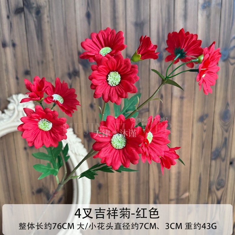 4갈래의 행운의 국화