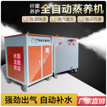 桥梁全自动电加热蒸养机 铁路桥梁混凝土专业冬季养护蒸汽发生器