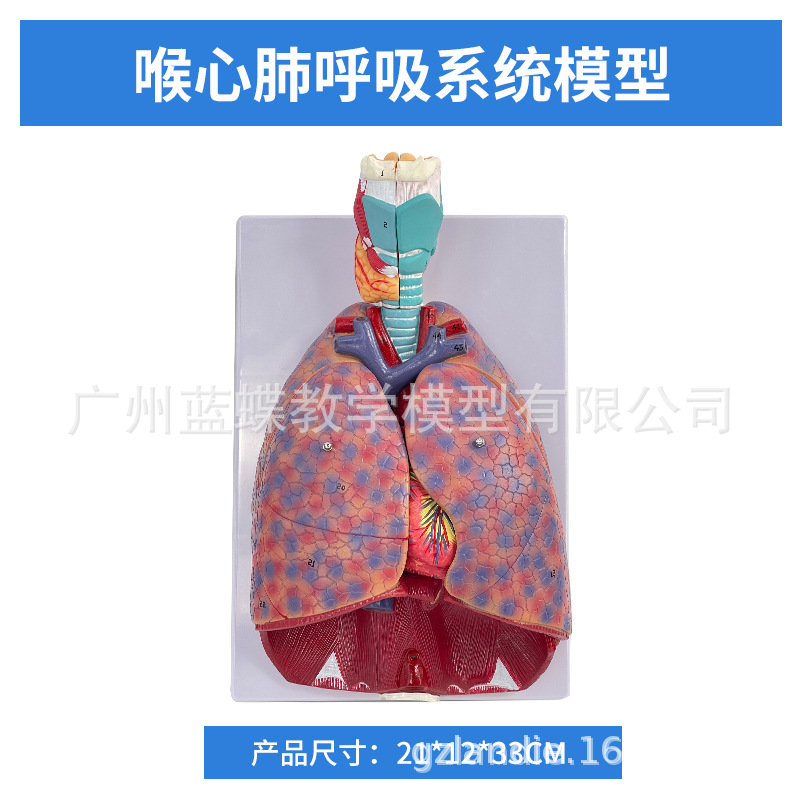 ��Ȼ��������ķ�ģ�ͺ�����״�ٷ�����ģ�ͺ���ϵͳ�β��������