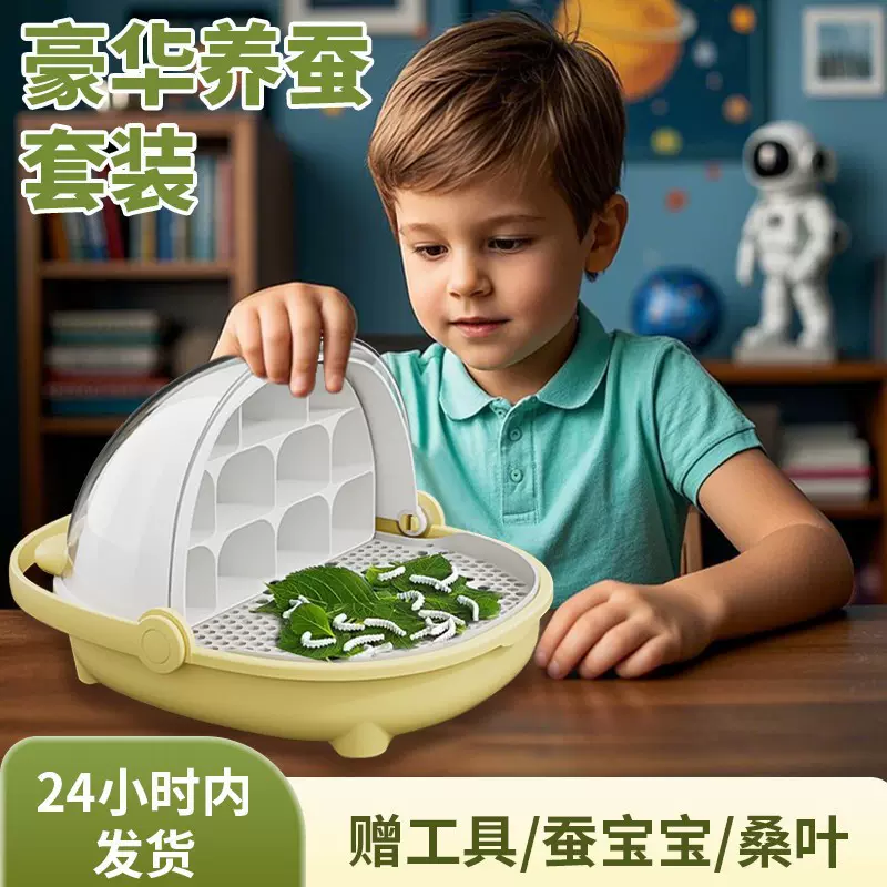 科学桑叶蚕宝宝养殖太空舱儿童昆虫观察盒学生套装养育蚕实验饲养