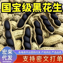 ���l�����ڻ�����؛��Ʒ����خa����ԭζ�����»�����Ƥ�Bθ����