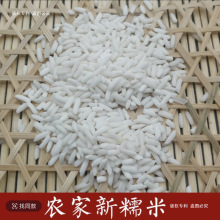 新货长糯米 湖北孝感长糯米粘大米新糯米白江米黏大米包粽