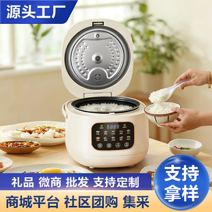 多功能智能电饭煲