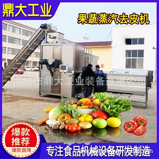 隆坤圣女果专用蒸汽去皮机 304 不锈钢 番茄罐头生产线厂家