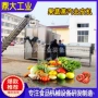 蒸汽304不锈钢圣女果去皮机