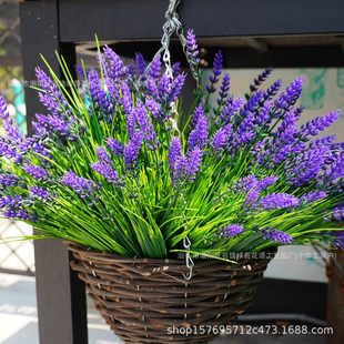 �羳���R�d�������Gֲ���޹�²����컨�Ҿӻ�c�b�����ֲ��