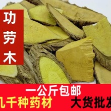 功劳木正品十大功劳木无硫中药材功劳木土黄连根黄藤刺包邮