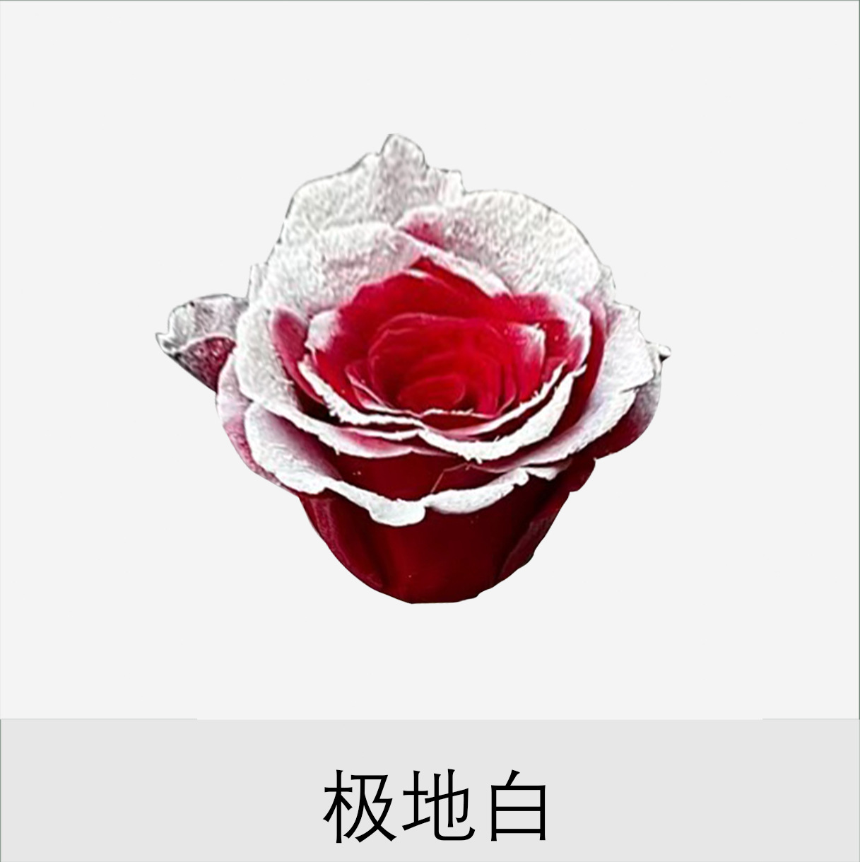 Material de embalaje de flores frescas Agente de tinción en aerosol de flores secas Salsa de ciruela negra Pintura en aerosol de flores Pintura en aerosol de flores Agente de color de flores