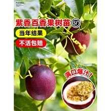 ���������޽Ә����ļ�����Y���S�����������Ϸ������Nֲ����