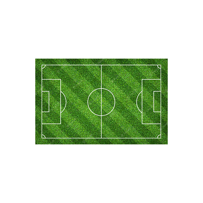 Estadio verde alfombra Copa del Mundo en casa dormitorio sala de estar sofá completo mesa de café manta juego absorbente resistente a las manchas