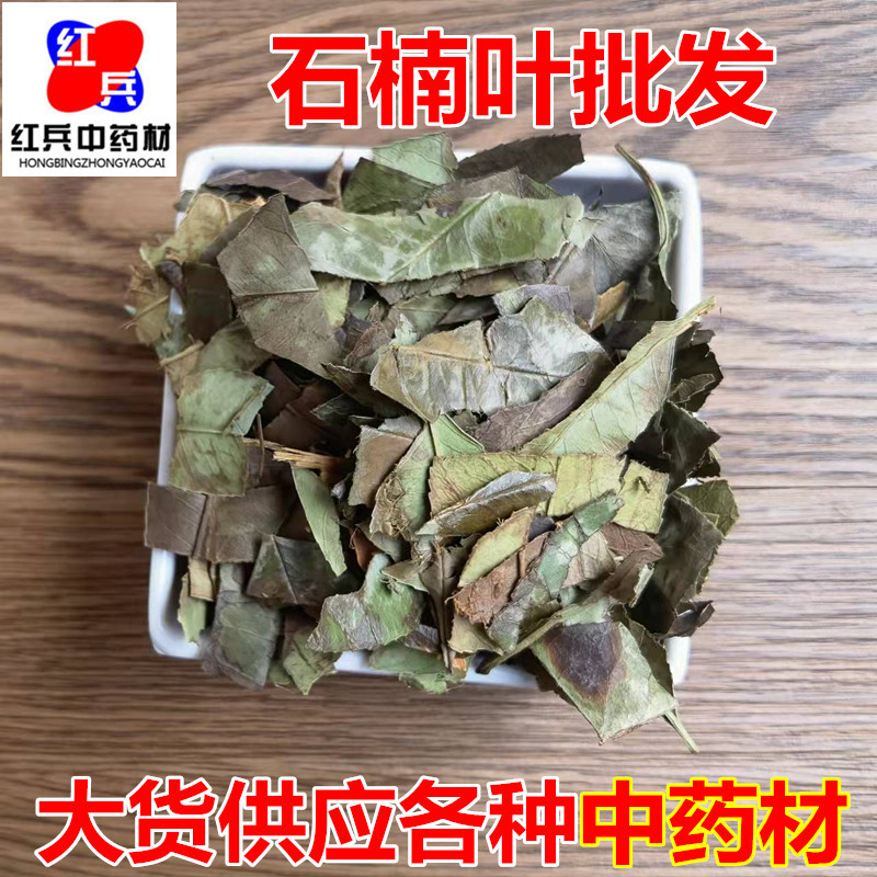 Dried Shi Nan Ye Photinia Leaf Whole Leaf Traditional Chinese Herb for Decoction and Tea overview