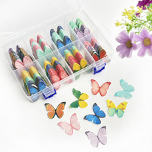 ɫ決bŴ׼Ƶ˔[Puβwdiy[